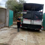 27aa746d-6bf4-484e-a573-1048107382db