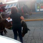 35196993_1709311515771412_119001350360006656_n