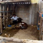 35985872_1728796110489619_6713600072006762496_n