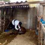 36003022_1728795040489726_7922229029019582464_n