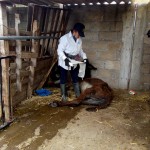 36187966_1728795897156307_6351091066854178816_n