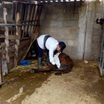 36269345_1728795787156318_1073927478256336896_n