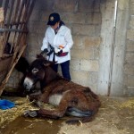 36282354_1728795223823041_5545753049240174592_n