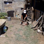 36344298_1735523733150190_4747834656349487104_n