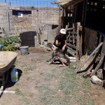 36425153_1735524103150153_170050395337392128_n