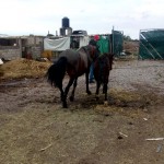 9d6d715d-39d2-41ae-9a44-c514ce2113aa