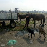 b141791d-51cc-4c2b-b434-01fd8fbff25d