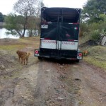 d07864b0-e9a8-4410-9ab7-abd7b29e24c4