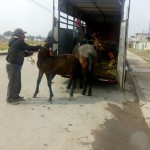 d69ba707-d5c8-449f-b5ad-8e477c0c1bbd