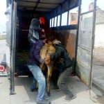 e26c1c8c-a5bf-48a6-8b41-61ab7e8aa9e7