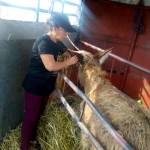 f054b086-986b-45cd-b0af-a7b52cf61aa7