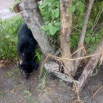 36632344_1742028395833057_1267876823975329792_n