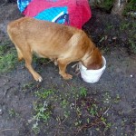 36663300_1742028509166379_4370589287691845632_n