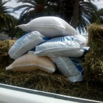 41654913_1847635141939048_4839031264608518144_n