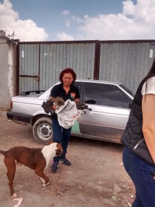 41692557_1848695611833001_4121394632342896640_n