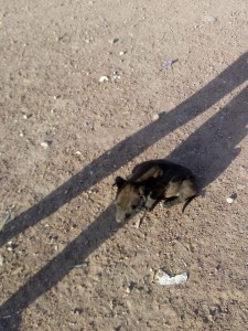 FB_IMG_1536726590824