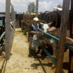 42532352_1861479683887927_2168402226085625856_n