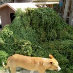 42756553_1866581030044459_1060451739192262656_n