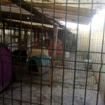 42761272_1866560736713155_2610852409546637312_n