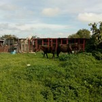 42906150_1866581493377746_2042822300088139776_n