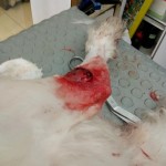 42933423_1868572816511947_7386273580708790272_n