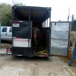 42950886_1866581640044398_6819725475485581312_n