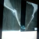 c5dd1a24-3abe-4d27-a3f0-f3401a7255e0