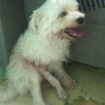 25774938-d382-4139-ba12-c8df80a20ec8