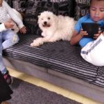 3fe3d041-d61b-4227-a395-e30f2a7718da