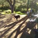 46144251_1927810470588181_4681615572134264832_n