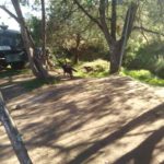 46156377_1927810513921510_6330595770680475648_n