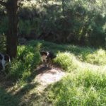 46173988_1927810630588165_8747181883101544448_n