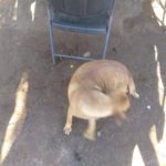 46191346_1927810437254851_705140360493400064_n