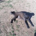 46301080_1927810643921497_1336328805853167616_n