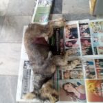 47206823_1950682004967694_8606319359658295296_n