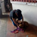 47238423_1952024758166752_4268973372240560128_n