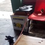 47251697_1950681864967708_5111691714297331712_n