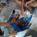 47273235_1950682104967684_7225870656875790336_n