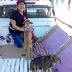 47308764_1953511271351434_3837848661056815104_n