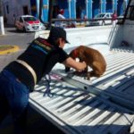 47322813_1952024774833417_7500357030306119680_n