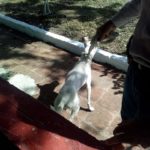 47322941_1950682058301022_3364429555778453504_n