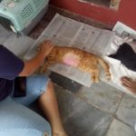 47358994_1950681558301072_1554688082802900992_n