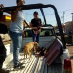 47485841_1953511291351432_1271266807302324224_n