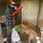 21231891_1447263051976261_7692415651245702242_n