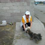 50082543_2011889915513569_7805374432163135488_n