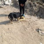 52001165_2057185080984052_8113108396539904000_n