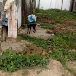 52333008_2066556230046937_3440025262270447616_n