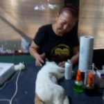 52426794_2066096416759585_3902677013386756096_n