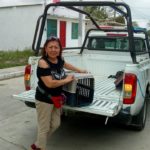 52546637_2066555956713631_7694504150679158784_n