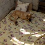 54228817_2121355404567019_7074491854468677632_n